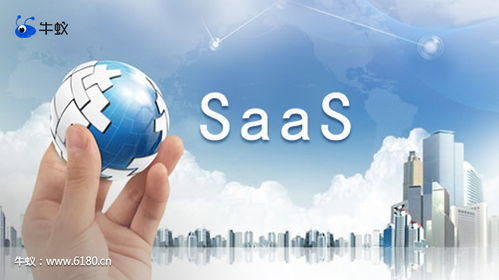 計(jì)算機(jī)信息技術(shù)開(kāi)發(fā)中牛蟻的巧妙應(yīng)用