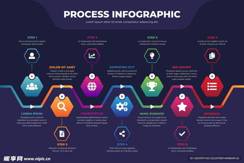 多彩過(guò)程信息圖設(shè)計(jì) 計(jì)算機(jī)信息技術(shù)開(kāi)發(fā)的視覺(jué)敘事